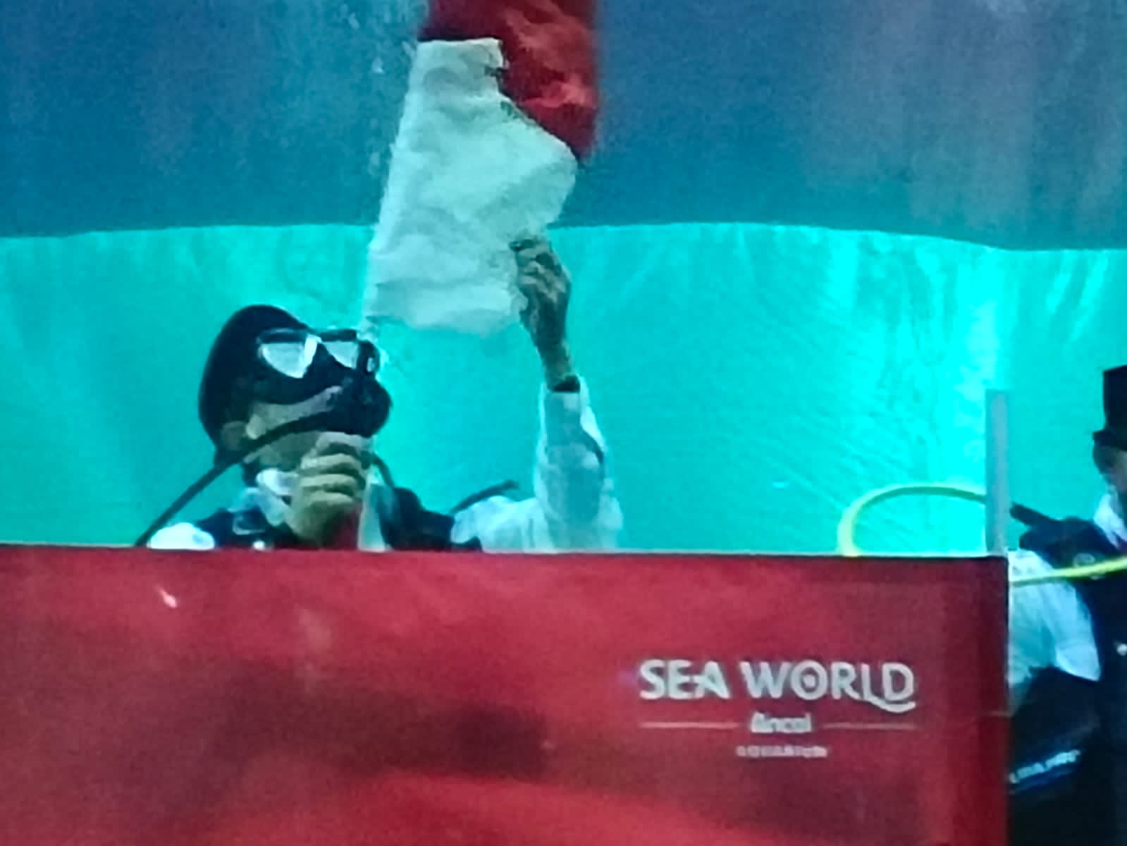 Dalam rangka peringati HUT RI ke-80, SeaWorld Ancol gelar perayaan unik gabungkan nilai nasionalisme dan edukasi lingkungan. Untuk pertama kalinya, Bendera Merah Putih kibarkan dalam aquarium raksasa SeaWorld