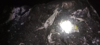 PT WPLI Diduga Langgar Aturan KLHK, Menjadi Sorotan Aktivis. APH Dan Dinas Terkait Untuk Segera Bertindak