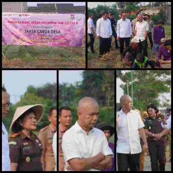 Panen Bawang Merah Kelompok Tani Cecere A, Implementasi Program Jaksa Garda Desa di Kabupaten Tangerang