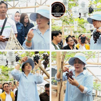 Direktur Buah  & Florikultura - Liferdi Lukman Dampingi Kunjungan Dadakan Komisi IV DPR RI ke Kebun Anggur Firizco (ASPAI)