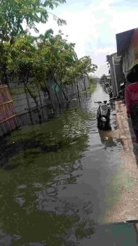 Banjir Bhak Mewabah Sebagian Pantura Tang-Ut Warga Terkena Berkeluh Kesah Pada Siapa..?
-Roy sandi: banjir menggenangi wilayah kelurahan kosambi barat kampung kebon besar dan kampung tawang RW 03 04 05.kami sangat berharap sentuhan pemerintah